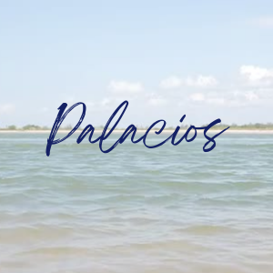 Texan Title Palacios