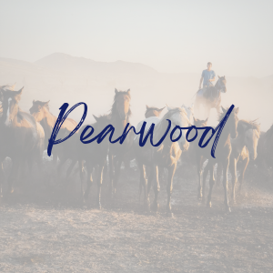 Texan Title Pearland