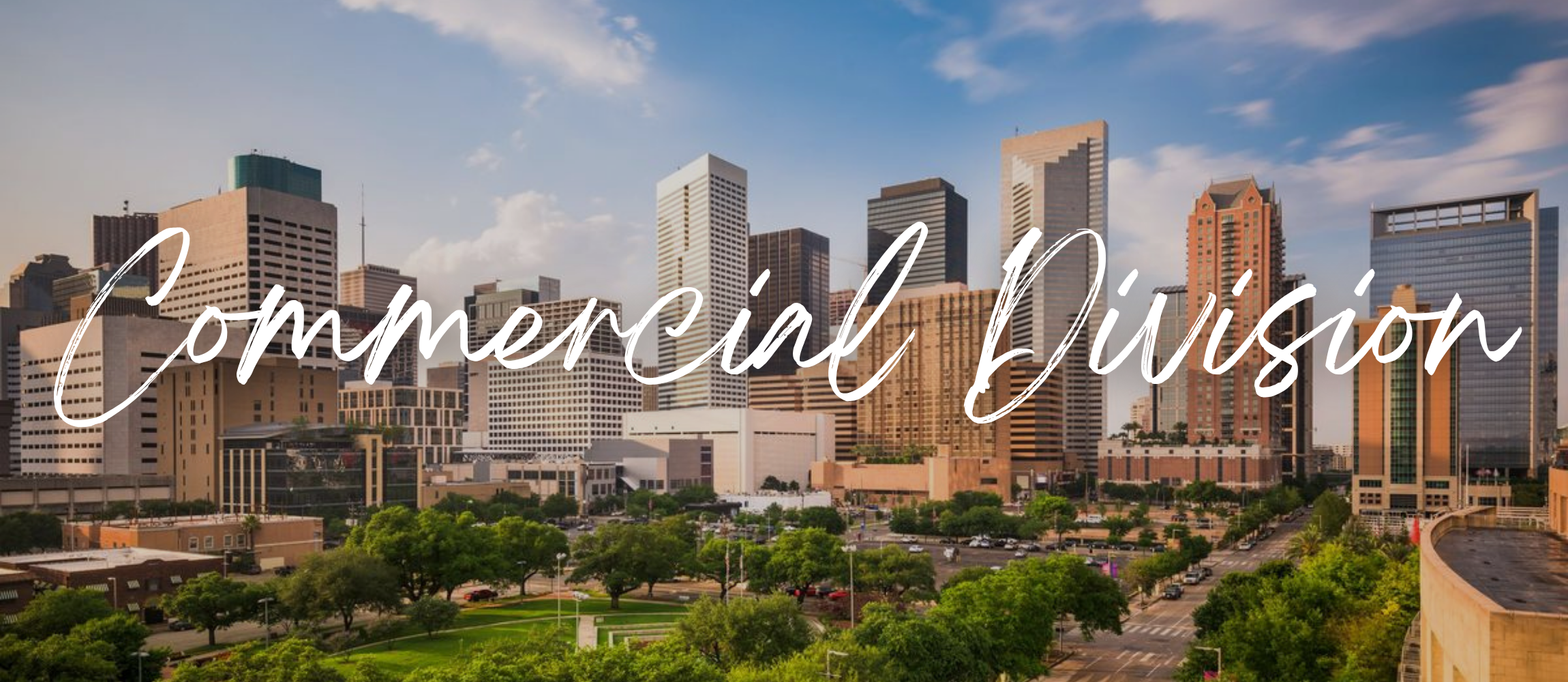 Texan Title Commercial Division