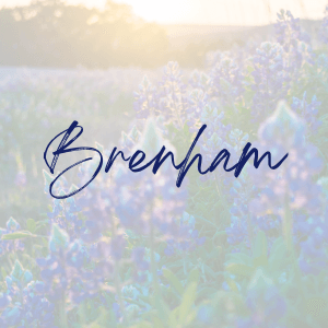 Texan Title Brenham